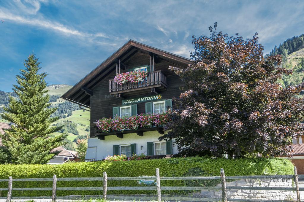 Ferienhaus Antonia دورفغاستين المظهر الخارجي الصورة
